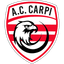 Carpi badge