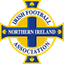 N.Ireland badge