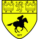 Newmarket Town badge