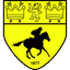 Newmarket Town badge