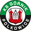 Górnik Polkowice badge