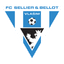 Vlašim badge