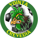 Voința Crevedia badge