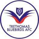 Trethomas Bluebirds badge