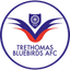 Trethomas Bluebirds badge