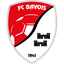 Bavois badge