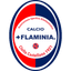 Flaminia badge
