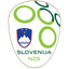 Slovenia badge