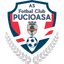 Pucioasa badge
