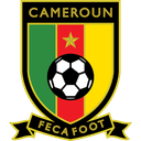Cameroon badge