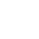 BFC Preussen badge