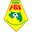 Guinea badge