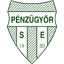 Pénzügyőr badge