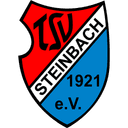 Steinbach Haiger badge