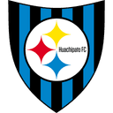 Huachipato badge