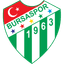 Bursaspor badge