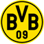 Borussia Dortmund II badge