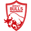 Jersey Bulls badge