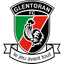 Glentoran badge