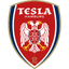 Nikola Tesla Hamburg badge