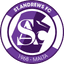 St. Andrews badge