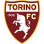 Torino badge