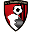 Bournemouth badge