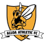 Alloa Athletic badge