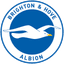 Brighton and Hove Albion badge