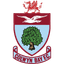 Colwyn Bay badge