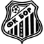 Bor 1919 badge
