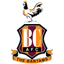 Bradford City badge